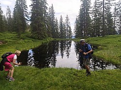 Bereit zum Schwimmen ?